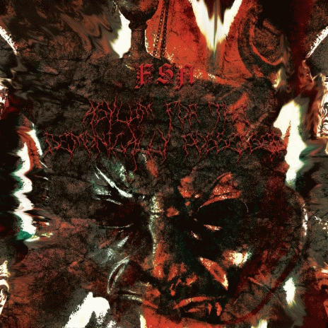 Fragmentary Solid Abyss : Asylum for the Demonically Possessed